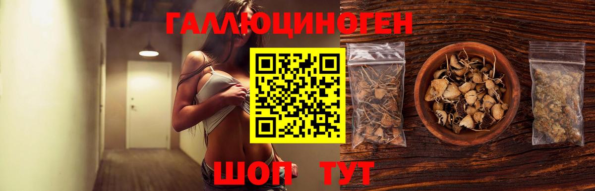 Егорьевск  Псилоцибиновые грибы Magic Shrooms  Вход с VPN 